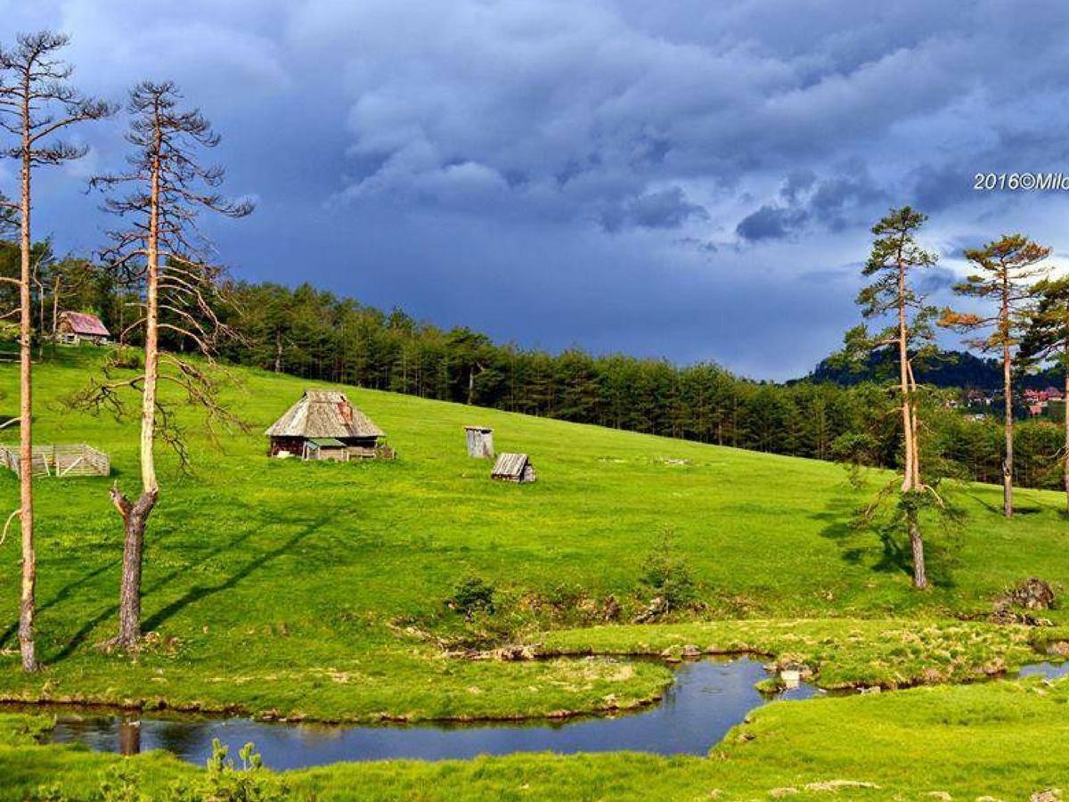 Cottage Vodice زلاتيبور المظهر الخارجي الصورة